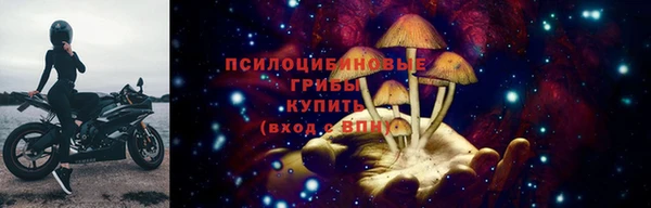 spice Гусь-Хрустальный