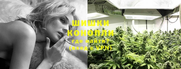 spice Гусь-Хрустальный