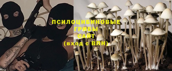 ГАЛЛЮЦИНОГЕННЫЕ ГРИБЫ Гусиноозёрск